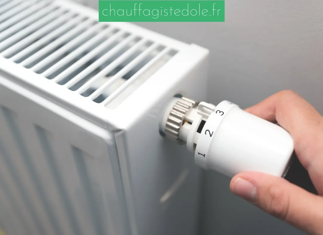 Remplacement de Thermostat Dole